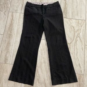 The limited Drewfit Women pants